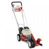 Briggs 550 Pro Edger